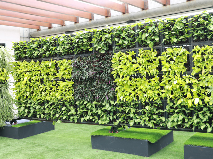 Living walls for indoor & outdoor