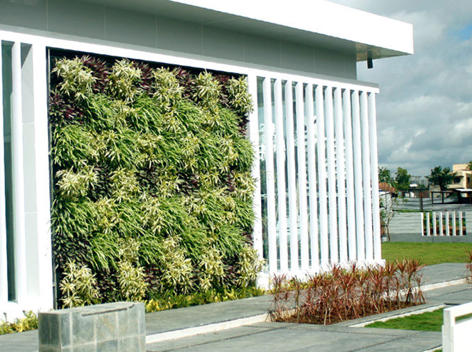 Living walls for indoor & outdoor