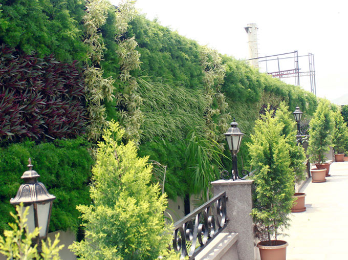 Vertical gardening for homes & offices