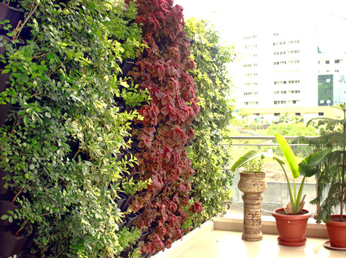 Home gardens for urban India