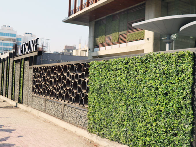 Green walls and landscaping