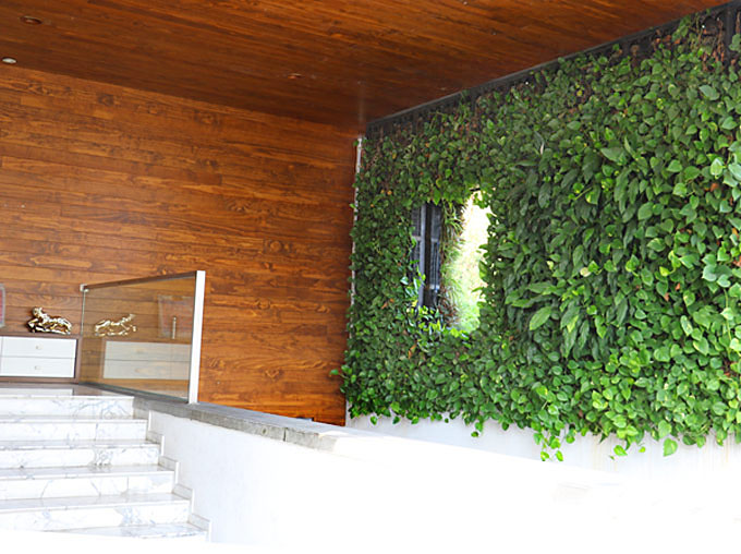 Living walls and green walls