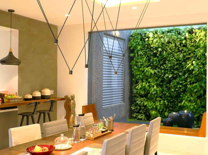 Living walls for indoor & outdoor