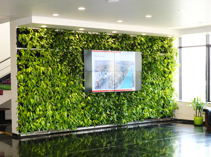 Green-Wall-advik