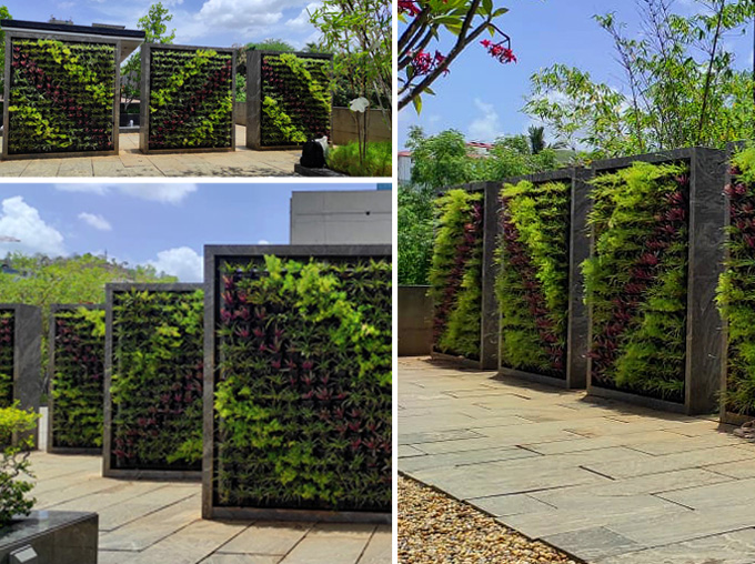 Green-Wall-jwmarriott
