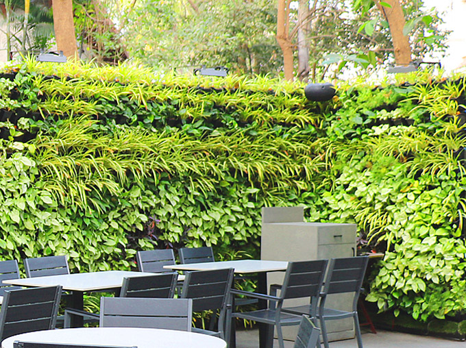 Green-Wall-kp