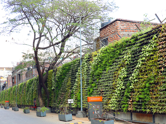 Green-Wall-panchashil
