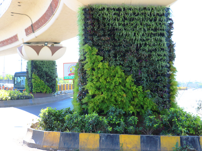 Green-Wall-sangvi
