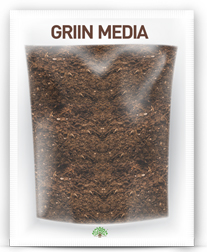 Griin-media