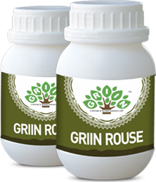 Griin-rouse