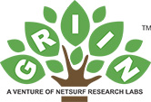 Griin Logo